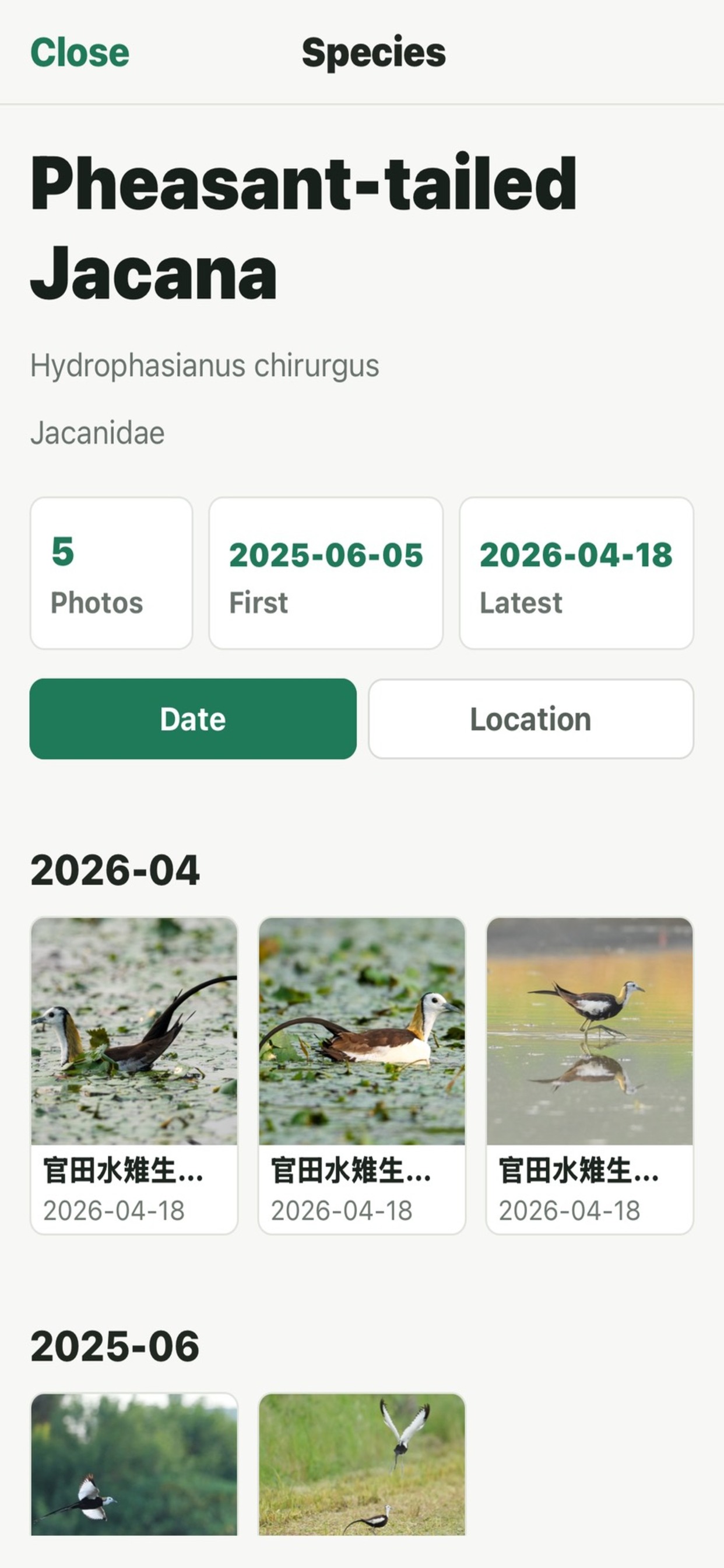 English species detail in BirdyLog